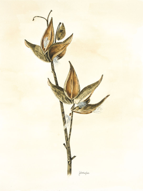 Hydrangea Blossom in Bowl